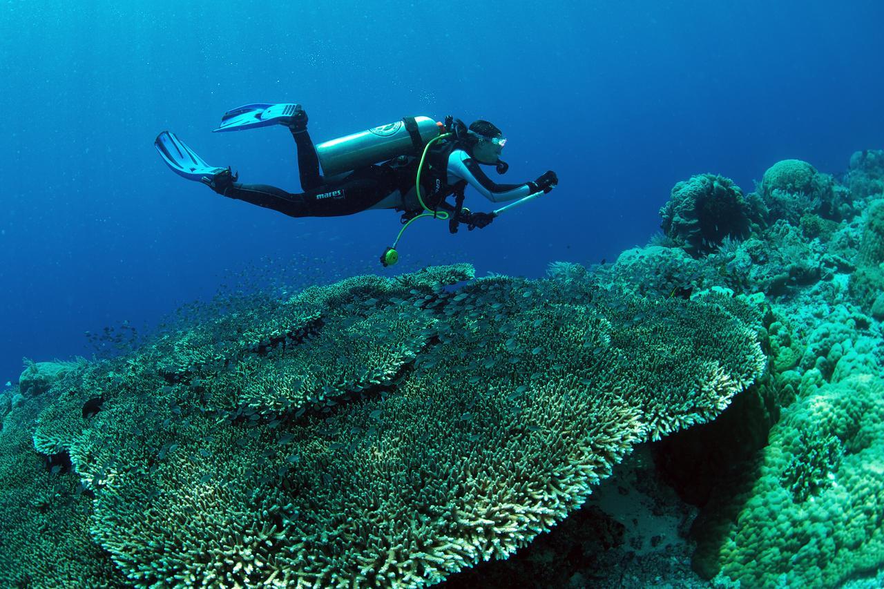 Murex Dive Resort Manado Exteriör bild